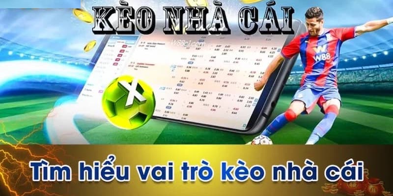 Vai trò của kèo nhà cái trong cá cược thể thao