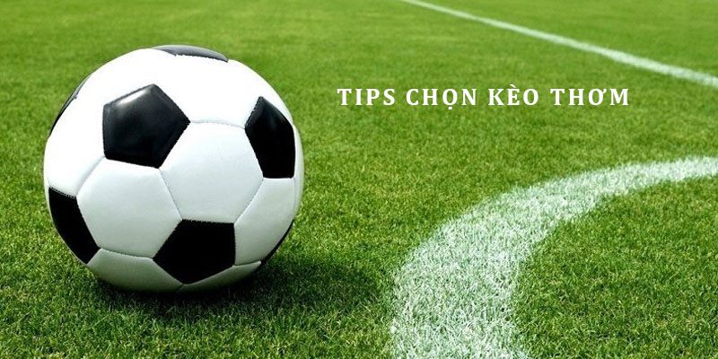 Tips lựa chọn các mức kèo hot nhất với Odds khủng