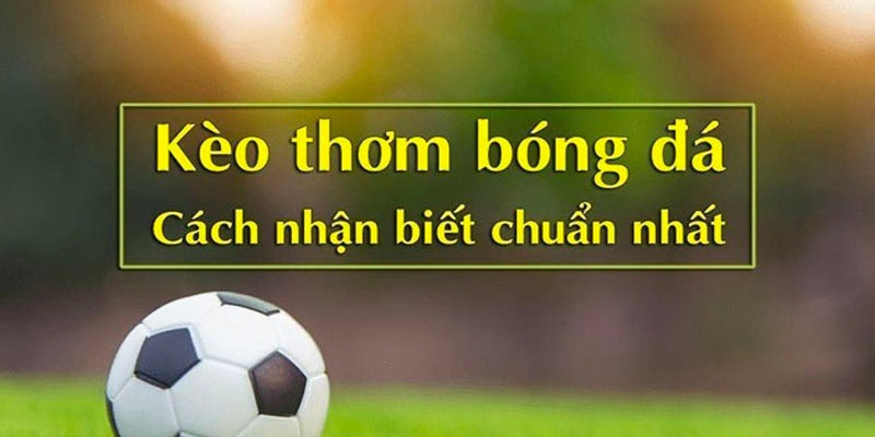 Kèo Thơm Là Sao? Top Những Cách Chọn Kèo Thơm Chắc Thắng